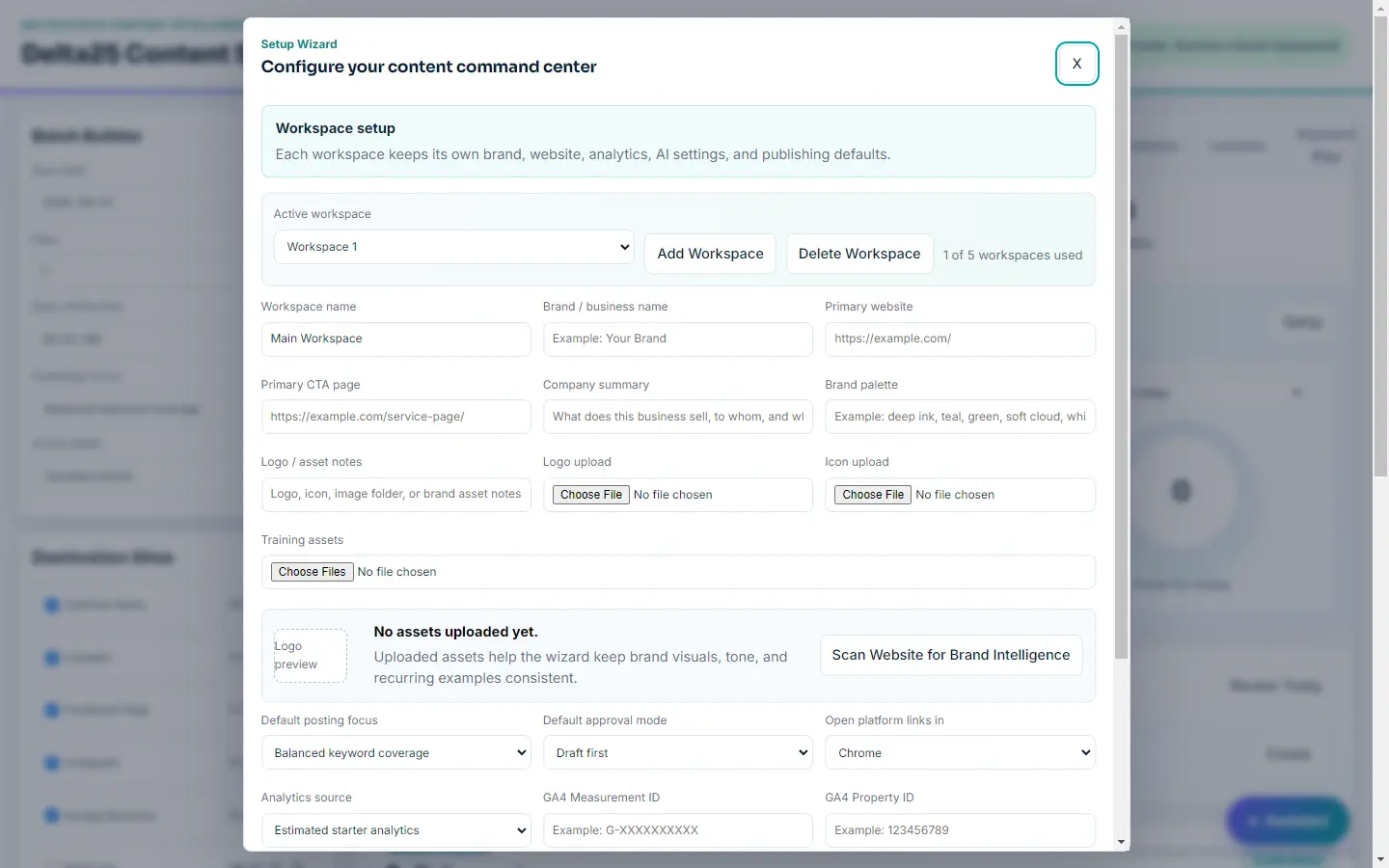 The setup wizard: workspace name, brand, primary website, brand palette, logo and training asset uploads, posting defaults and analytics IDs.